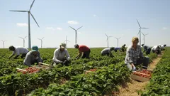 V Polsku zbavili nezaměstnané Ukrajince sociálních dávek. Bude Česko následovat tento příklad?